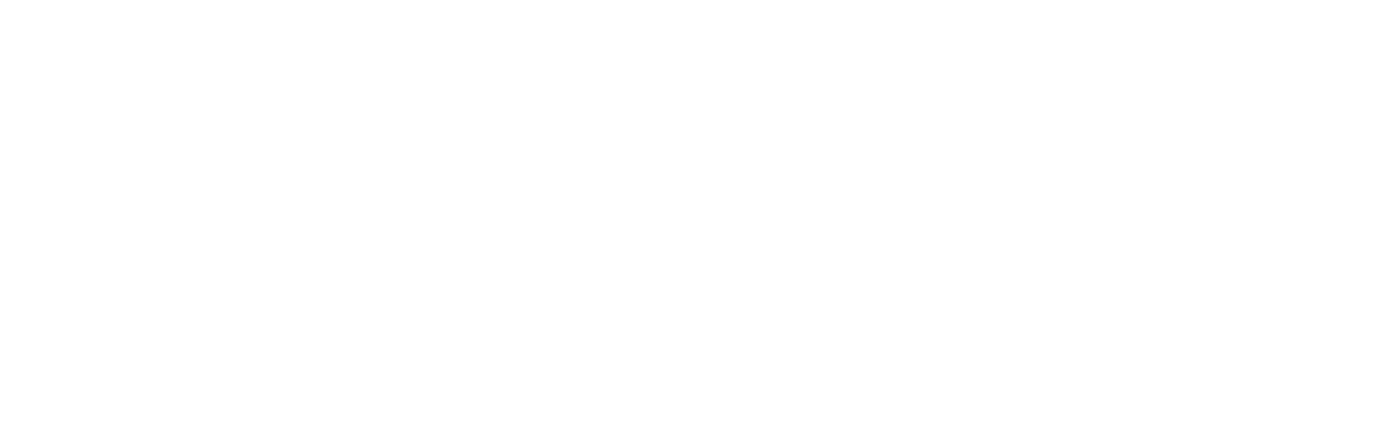 フロムデータ株式会社